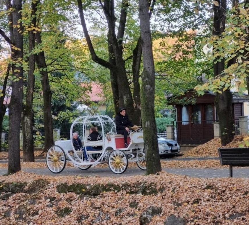 Apolon Spa Vrnjačka Banja Exterior foto
